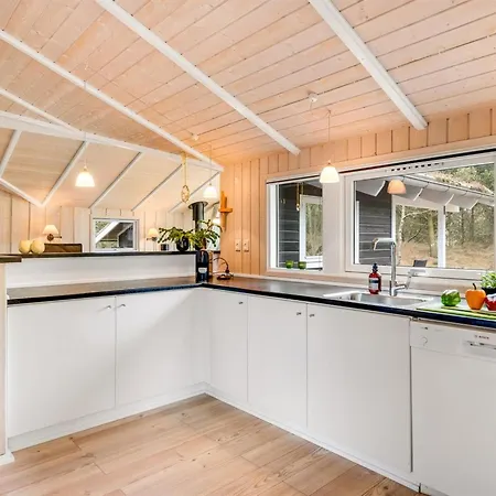 Abiorn - 2-5km From The Sea By Interhome Casa de Férias Blåvand